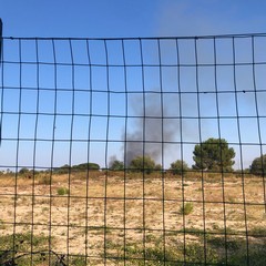 Incendio nella zona sud di Trani