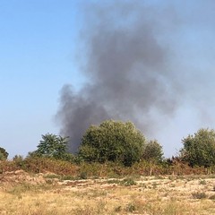 Incendio nelle campagne a sud di Trani