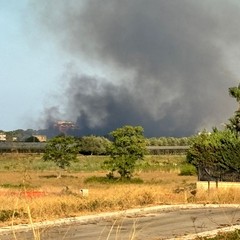 Incendio nella zona sud di Trani