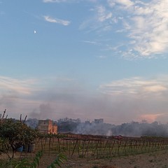 Incendio nelle zona sud di Trani