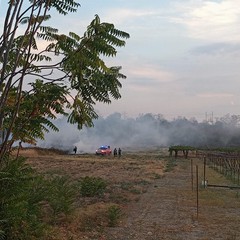 Incendio nelle zona sud di Trani