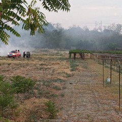 Incendio nelle zona sud di Trani