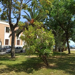 Riqualificazione piazza d'Agostino