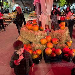 Halloween stAugustine