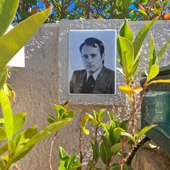 Cerimonia Albanese