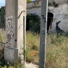 Via verdi