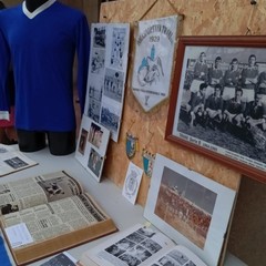 Tranensis trani serie b polisportiva