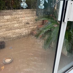 Via Mascagni pioggia