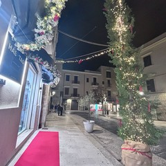 Natale a Trani