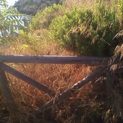 Terrazza Mongelli
