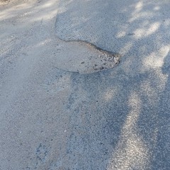 Buche in via del Serrone