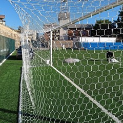 Campo Bovio