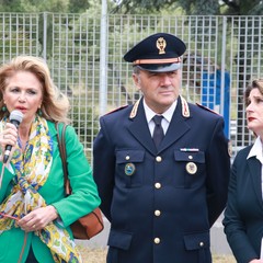 Michele Sardone
