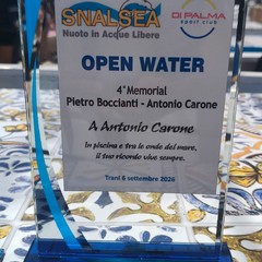 Memorial boccianti carone