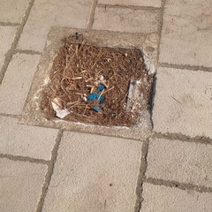 Cartellonistica vandalizzata