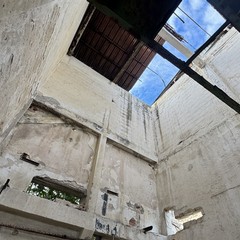 IMG JPEG