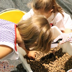 Bambini "archeologi" al Polo Museale