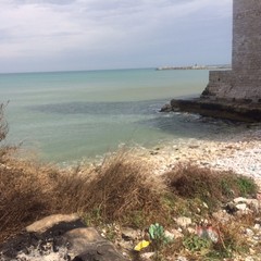 Degrado al Castello Svevo di Trani