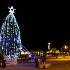 L'albero di Natale in piazza Quercia