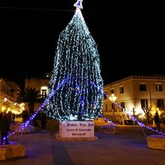 L'albero di Natale in piazza Quercia