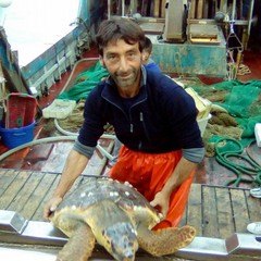 Caretta caretta salvata dal motopeschereccio Antonella