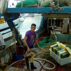 Caretta caretta salvata dal motopeschereccio Antonella