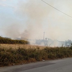 Via Andria, nel pomeriggio sterpaglie in fiamme