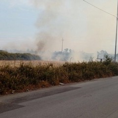 Via Andria, nel pomeriggio sterpaglie in fiamme