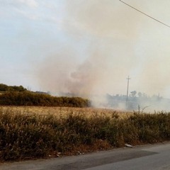 Via Andria, nel pomeriggio sterpaglie in fiamme