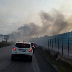 Via Andria, nel pomeriggio sterpaglie in fiamme