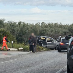 Incidente Trani-Corato