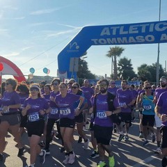 Inizio Tranincorsa XV ed