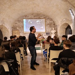 LICEO VECCHI a SALOTTI LETTERI a BELTRANI