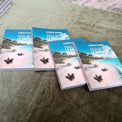 LICEO VECCHI a SALOTTI LETTERI a BELTRANI