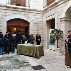 LICEO VECCHI a SALOTTI LETTERI a BELTRANI