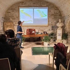 LICEO VECCHI a SALOTTI LETTERI a BELTRANI