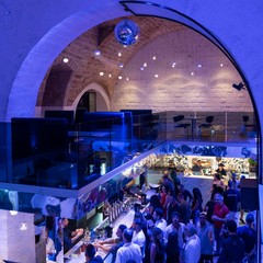 Apre Meduza a Bisceglie