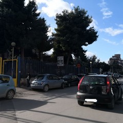 Rami caduti in città