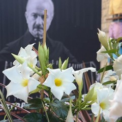 Mostra Fotografica Astor Piazzolla Trani JPG