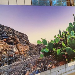 MOstra Fotografica Trani Camogli JPG