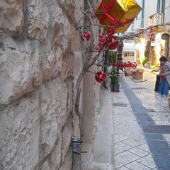 Natale in Via Zanardelli
