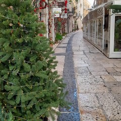 Natale in Via Zanardelli