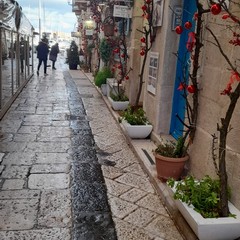 Natale in Via Zanardelli