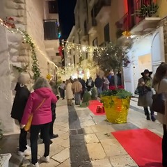 NATALE NELLA VIA LARGA