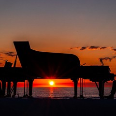 Nessun dorma Trani
