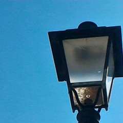 Colpi di pistola contro i lampioni del Mongelli