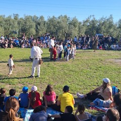 Parco Santa Geffa Falconeria