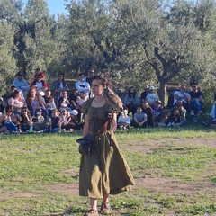 Parco Santa Geffa Falconeria