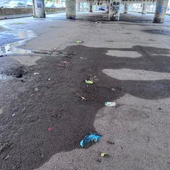 Rifiuti sotto al ponte della 16bis