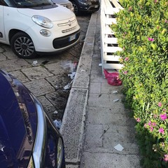 Rifiuti in via Bovio